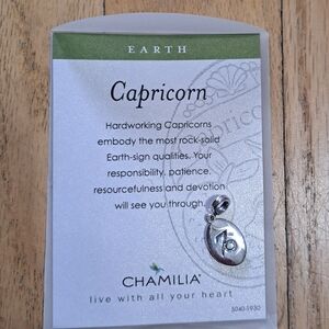 Chamilia Silver Capricorn Charm